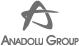 Anadolu Grup